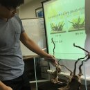 수초 아카데미 참가 후기입니다.