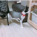 작고 소중해 이미지