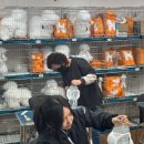 HS빌딩 | 인천애견미용학원 HS평생교육원 국비애견미용학원에 다니고 있는 후기입니다