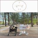 강변로 | [춘천 여행] 남이섬 애견동반 후기 (남이섬주차 선박시간 강아지동반 입장조건 애견놀이터)