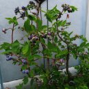 소풍같은 산행 이미지