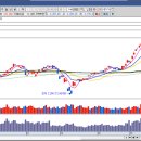 비앤지 코스메틱 이미지