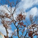 진잠동 행정복지센터 이미지