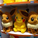 와우로 1R(1->종점) | 후쿠오카 포켓몬센터 위치 면세 포켓몬카드 한정판 인형 피규어 굿