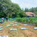 금당어버이집 이미지