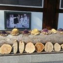 혼불농장 이미지