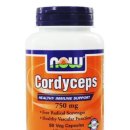 ●동충하초 -티벳 오리지날, Cordyceps Sinensis -항암 -면역증강 -피로회복 -항노화 -신장 이식 후 면역반응 억제 -혈당강하 -호흡기 -동충하초(冬蟲夏草)란? 이미지