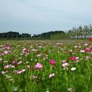 바우길 16구간 이미지