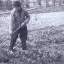상주상회