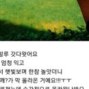 힐샤워 에스테틱 네이버블로그