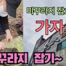 상균농장 네이버블로그