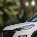 효돈천 | &#34;제주 서귀포 효돈천, 현지인이 추천하는 비공식 폭포 5가지 매력&#34;