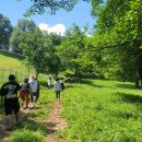 데미샘꿈그린 이미지