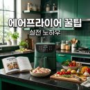 (주)프라이어 | 에어프라이어 요리 꿀팁과 용량별 가성비 모델 솔직 후기