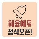 라피스컨설팅