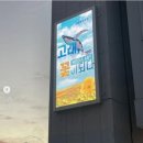 (주)요요인터렉티브 이미지