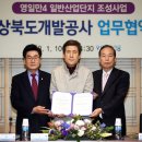 영일만 이미지