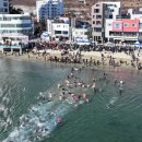 덕포 펭귄 이미지