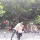 숲이조아