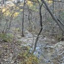 홍동산 티스토리