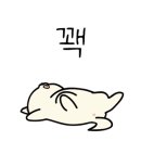 100스타일