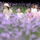 버들어린이집 이미지