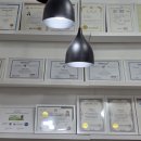 개멋지냥 이미지