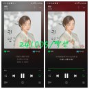 241005/귀인,맏내딸,사랑아니 스밍인증 이미지