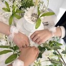 템템 - 중구 명동8가길 6 | [스튜디오 템템] 서울 브라이덜샤워 후기 홍대 연남동 청순 컨셉 🌳💗