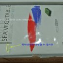 해야채 이미지