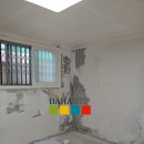 목동중앙본로 이미지