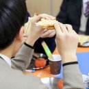 이머꼬 이미지