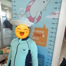 만우생고기식당 | 이천여행 ②일 여행기록 : 만우정육점생고기식당 → 이천 테르메덴 → 하남돼지집 → 이천 태극당
