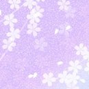 쌀쌀하당 이미지