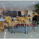 해남공룡박물관 이미지