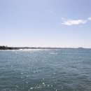 애월연대 이미지