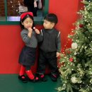 이리영등초등학교 | 타임스퀘어 크리스마스 트리 사냥, 뽀로로 극장판 스위트캐슬 대모험, 서가앤쿡❤️