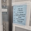 모앤블레스의원 | 탈모관리 후기 다이어트로 빠지는 여자머리 두피스케일링은 압구정 채움가득 추천해요