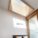 포지타노인제주 이미지