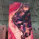 터미널식당(언양) 이미지