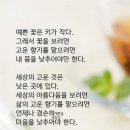 향기고운 이미지