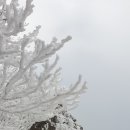 안성리-8 이미지