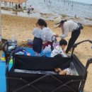 비비오네 네이버블로그