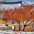 박달재전통시장 이미지