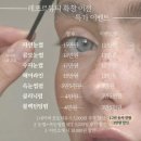레포르뷰티