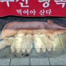 럭키마트 정육코너 - 화성시 정남면 | 럭키마트 정육코너