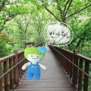 숲테라피 이미지