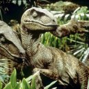 벨로시랩터 이미지