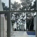 거제생각속의집펜션1 | [거제] 생각속의집 펜션 세부 슈페리어룸 글램핑 바베큐 예약