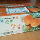 신용단감
